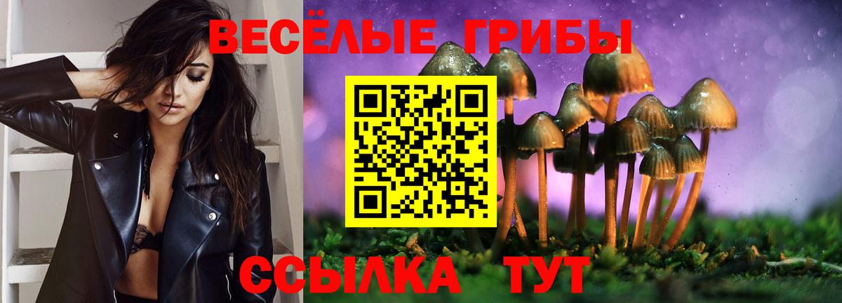 Каннабис  Медногорск  Лсд 25  COCAIN  Меф МЯУ МЯУ   Вход с VPN  ГАШИШ 