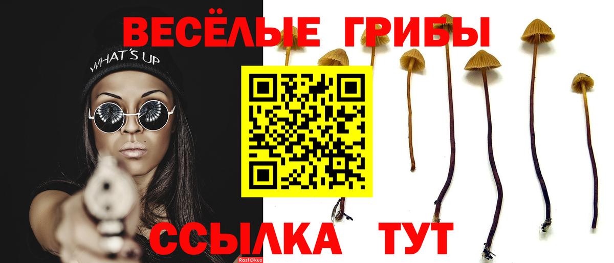 Галлюциногенные грибы ЛСД Медногорск
